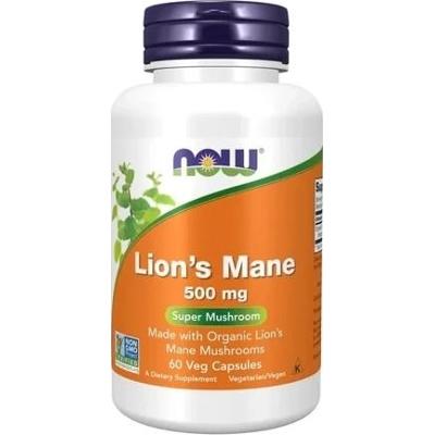 Lion's Mane 500mg x 60 kapsułek