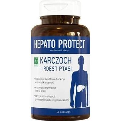 HEPATO Protect x 60 kapsułek