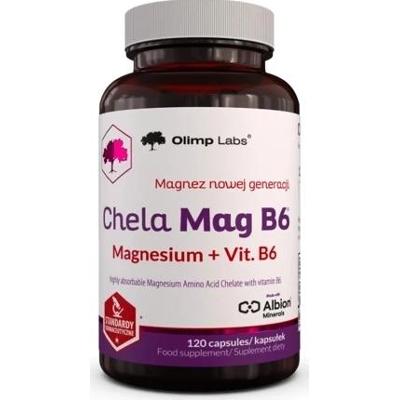 OLIMP Chela-Mag B6 x 120 kapsułek