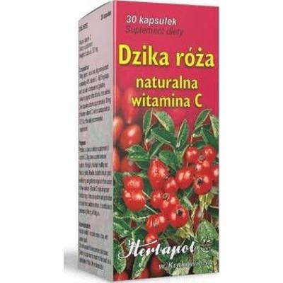 Dzika Róża x 30 kapsułek