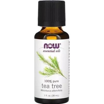 Olejek z drzewa herbacianego 10ml