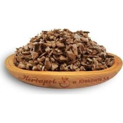 KORZEŃ ŁOPIANU 50g