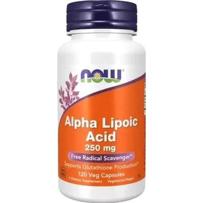 Alpha Lipoic Acid 250mg x 120 kapsułek