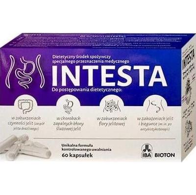 Intesta x 60 kapsułek