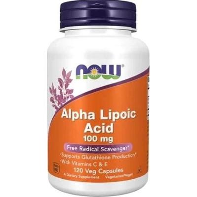 Alpha Lipoic Acid 100mg x 120 kapsułek