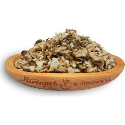 KORZEŃ Cykorii Podróżnika 50g