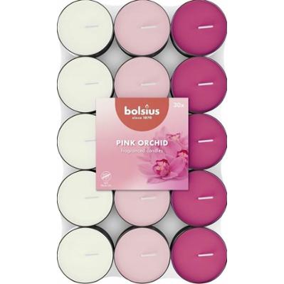 Bolsius Multi Coloured Orchidea podgrzewacze zapachowe 3,5 godzinne - 30 sztuk