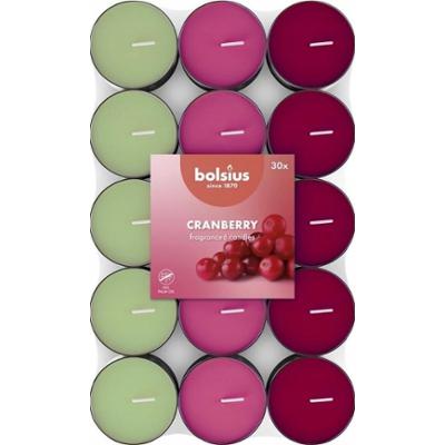 Bolsius Multi Coloured Żurawina podgrzewacze zapachowe 3,5 godzinne - 30 sztuk