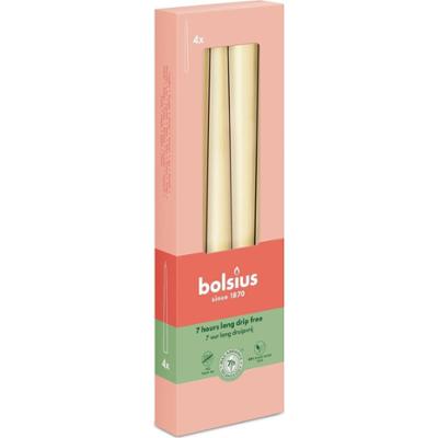 Bolsius OWSIANY BEŻ świeca stołowa szpica 245/24 - 4 sztuki