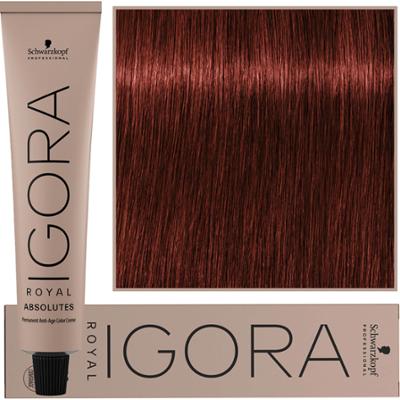 Schwarzkopf Professional Igora Royal Absolutes - trwała farba do włosów z kolagenem, 60ml 6-80 | Ciemny Blond Naturalny Czerwony