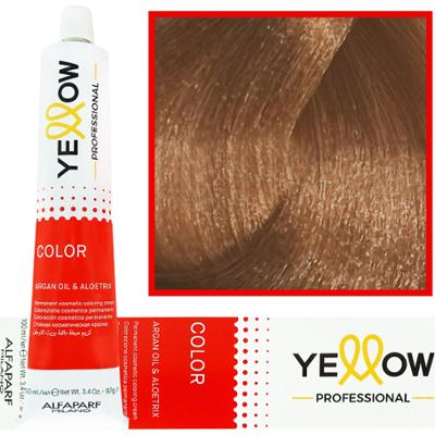 Alfaparf Yellow - trwała farba do włosów z aloesem i kiełkami pszenicy, 100ml 8,13 | Jasny Popielaty Złoty Blond