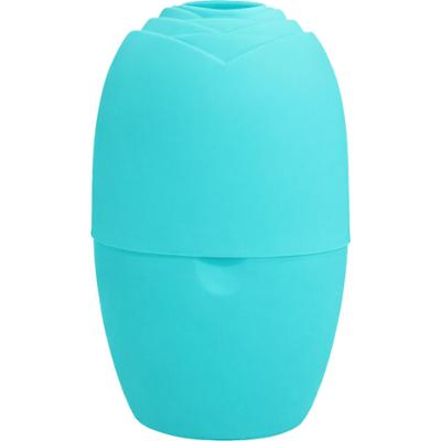 DeniCarte masażer lodowy do twarzy – efektywny masaż, odprężenie skóry