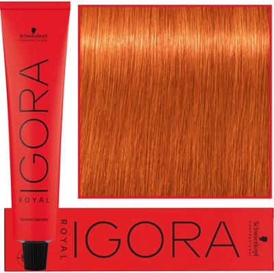 Schwarzkopf Professional Igora Royal - trwała farba do włosów o innowacyjnej formule, 60ml 8-77 | Jasny Blond Miedziany Ekstra