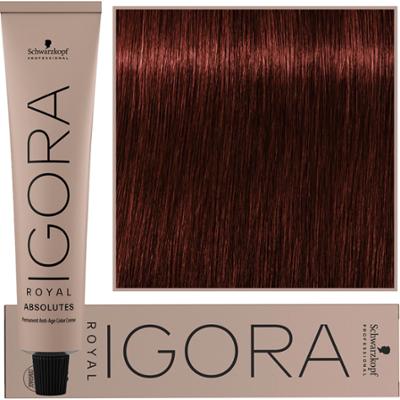 Schwarzkopf Professional Igora Royal Absolutes - trwała farba do włosów z kolagenem, 60ml 5-80 | Jasny Brąz Naturalny Czerwony