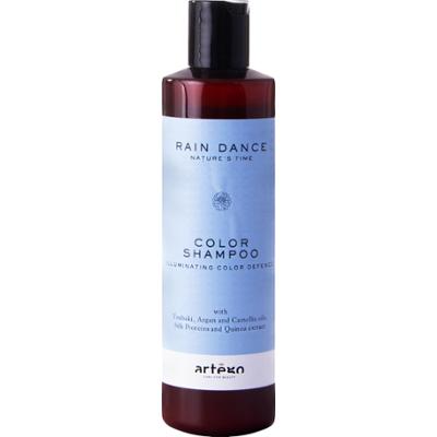 Artego Rain Dance Color - szampon przedłużający intensywność koloru, 250 ml