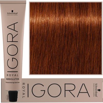 Schwarzkopf Professional Igora Royal Absolutes - trwała farba do włosów z kolagenem, 60ml 6-70 | Ciemny Blond Miedziany Naturalny