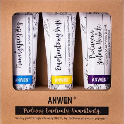 Anwen Wegański zestaw odżywek - do włosów średnioporowatych, 3x100ml