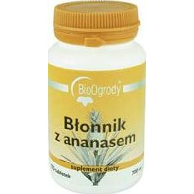 BioOgrody  Błonnik z ananasem op. /100 szt.