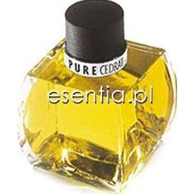 Azzaro  Pure Cedrat męska