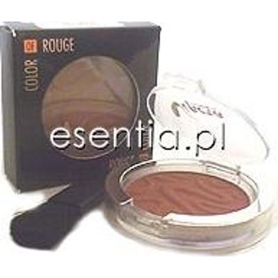 Vipera Color of Rouge Róż Classic 5,5 g