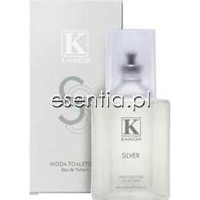 Kanion Silver Woda toaletowa 100 ml