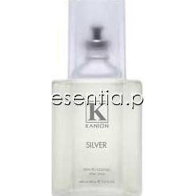 Kanion Silver Płyn po goleniu 100 ml