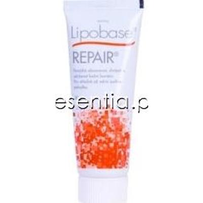 Yamanouchi  Lipobase Repair Krem 