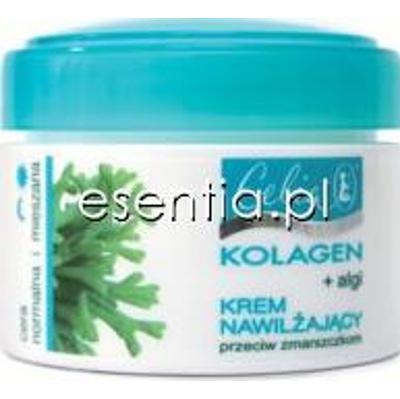 Celia Kolagen Krem nawilżający przeciw zmarszczkom Algi 
