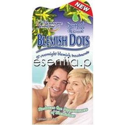 Montagne Jeunesse  Plasterki punktowe na wypryski op./ 12 szt.