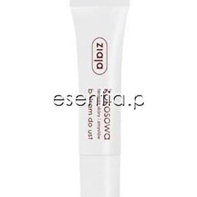 Ziaja kokosowa Kokosowy balsam do ust 10 ml