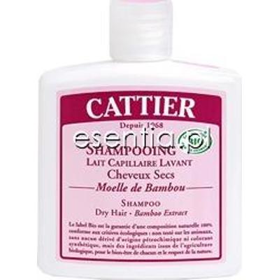 Cattier  Szampon z ekstraktem z bambusa do włosów suchych 