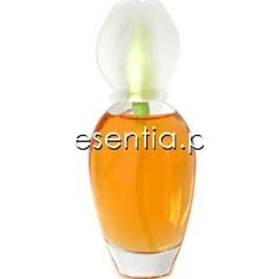 Chloe  Chloe Narcisse damska