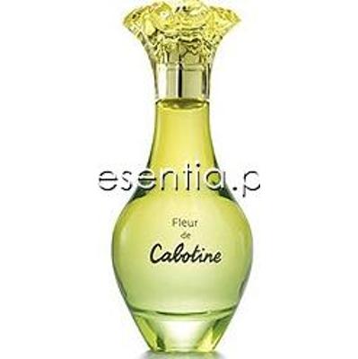 Gres  Fleur de Cabotine damska