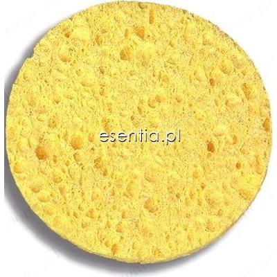 Donegal  Gąbeczka celulozowa [9084]