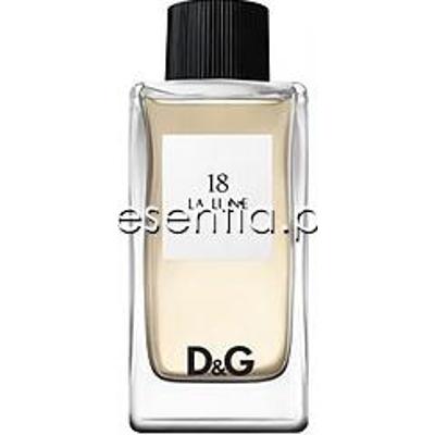 Dolce & Gabbana Anthology 18 La Lune damska