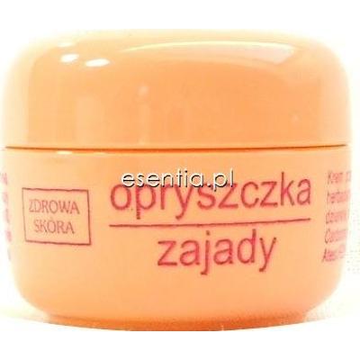 Farmaceutyki Aleksandra  Krem do warg ze skłonnością do zajadów i opryszczki 15 ml