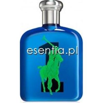 Ralph Lauren  Big Pony 1 męska