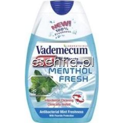 Vademecum  Pasta do zębów 2w1 Menthol Fresh 75 ml