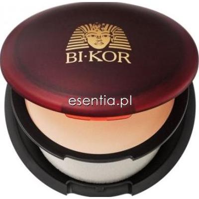 Bikor  Podkład Wet&Dry 