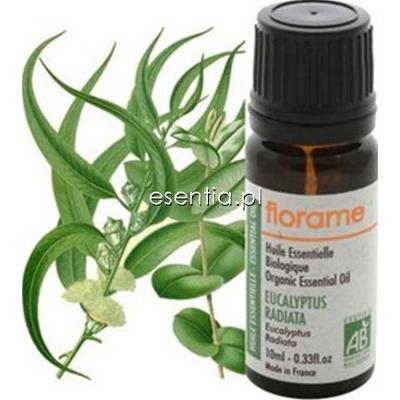 Florame  Olejek eteryczny Eukaliptus radiata 5 ml