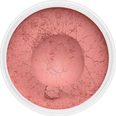 Róż Cute Watermelon No.208