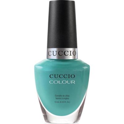 6415 Pastelowy zielony lakier do paznokci 13 ml WHO DUNN IT?