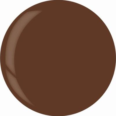 4039 Dip System Puder Tytanowy Caramel Kisses 14 g