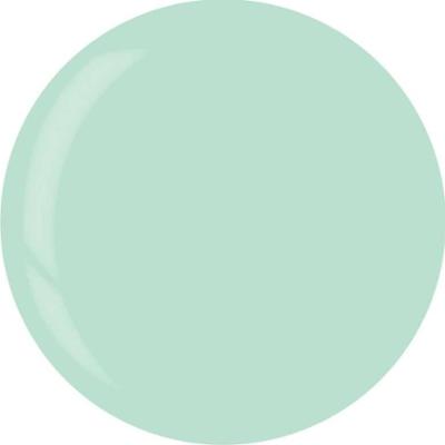 3949 Dip System Puder Mint Sorbet 14 G