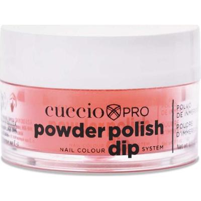 5587 DIP SYSTEM PUDER Pastel Peach 14 g