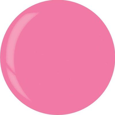 3909 Dip System Puder Dragonfruit Sorbet 14 G