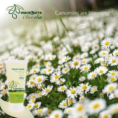 MACROVITA Olive.elia Classic naturalny krem do dłoni z bio-oliwą, aloesem i rumiankiem 100ml