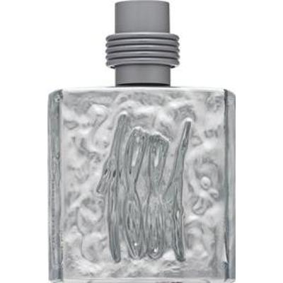 Cerruti 1881 Silver woda toaletowa dla mężczyzn 100 ml