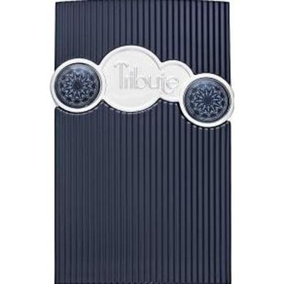 Afnan Tribute Blue woda perfumowana dla mężczyzn 100 ml