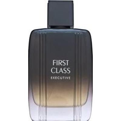 Aigner First Class Executive woda toaletowa dla mężczyzn 100 ml
